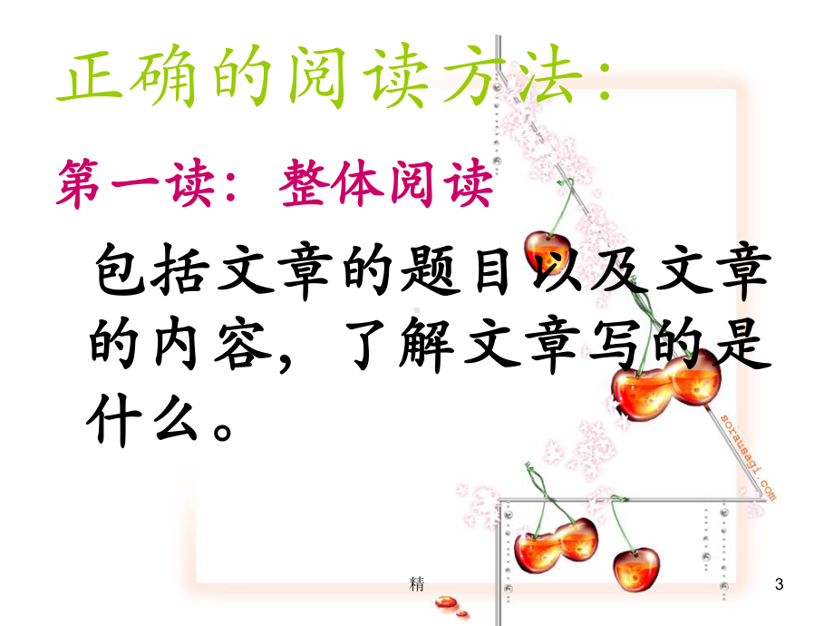 小学语文阅读指导课精选课件.ppt_第3页