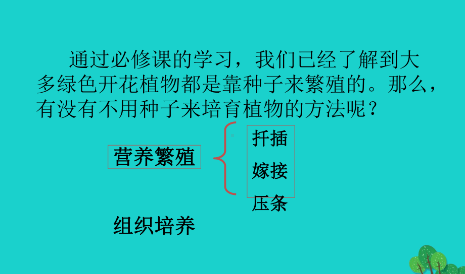 高中生物植物的组织培养技术31菊花的组织培养课件1新人教版选修1.ppt_第2页