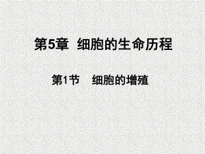 细胞周期与有丝分裂课件.ppt