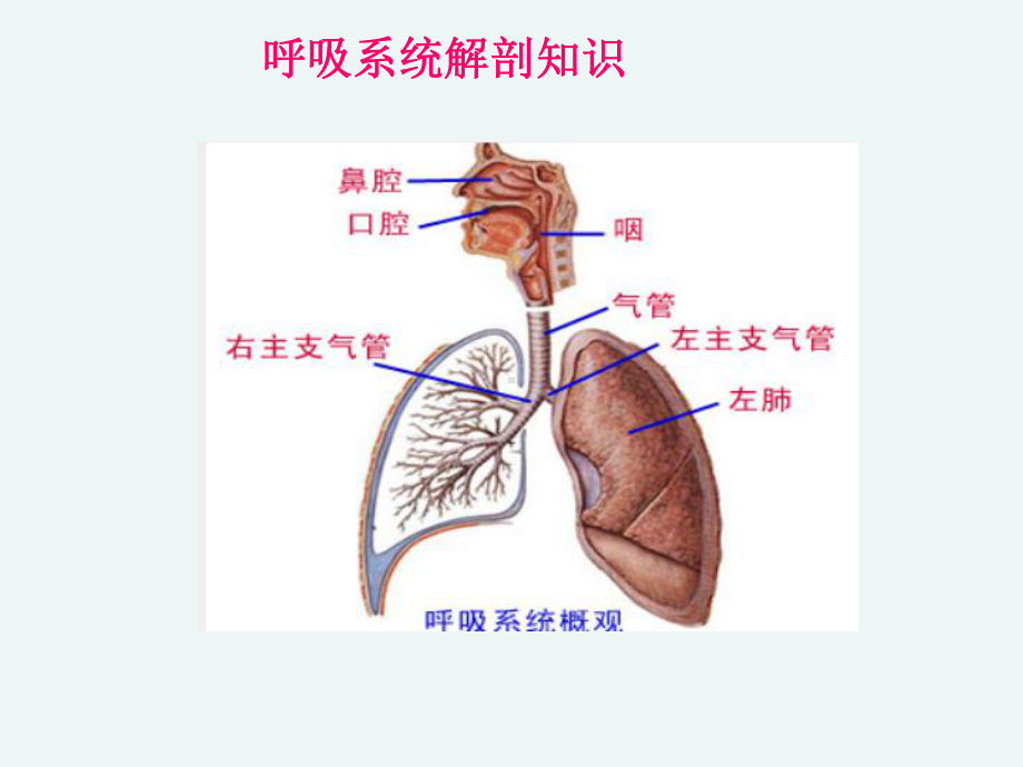 春季常见疾病课件.ppt_第3页