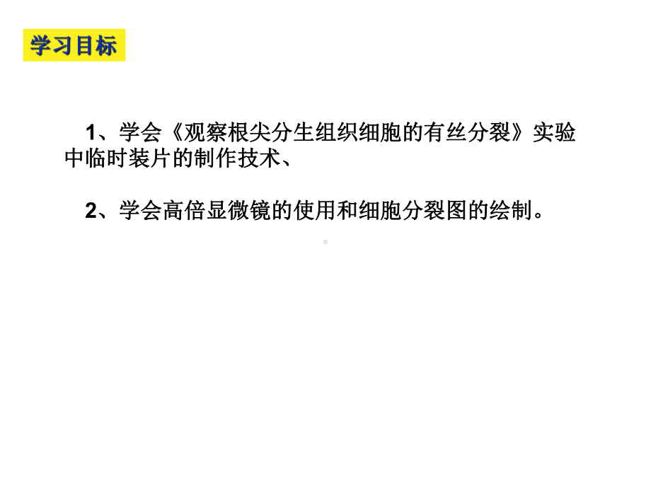 第六章-细胞的生命历程-61-观察根尖分生组织细胞的有丝分裂(实验课)课件.ppt_第2页