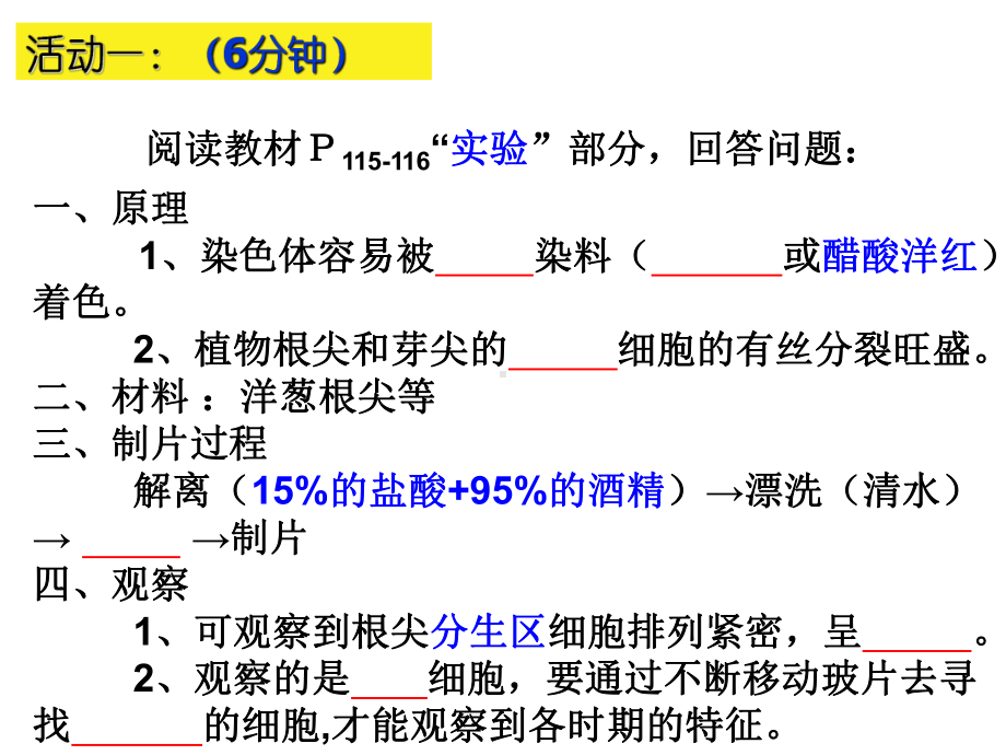 第六章-细胞的生命历程-61-观察根尖分生组织细胞的有丝分裂(实验课)课件.ppt_第3页