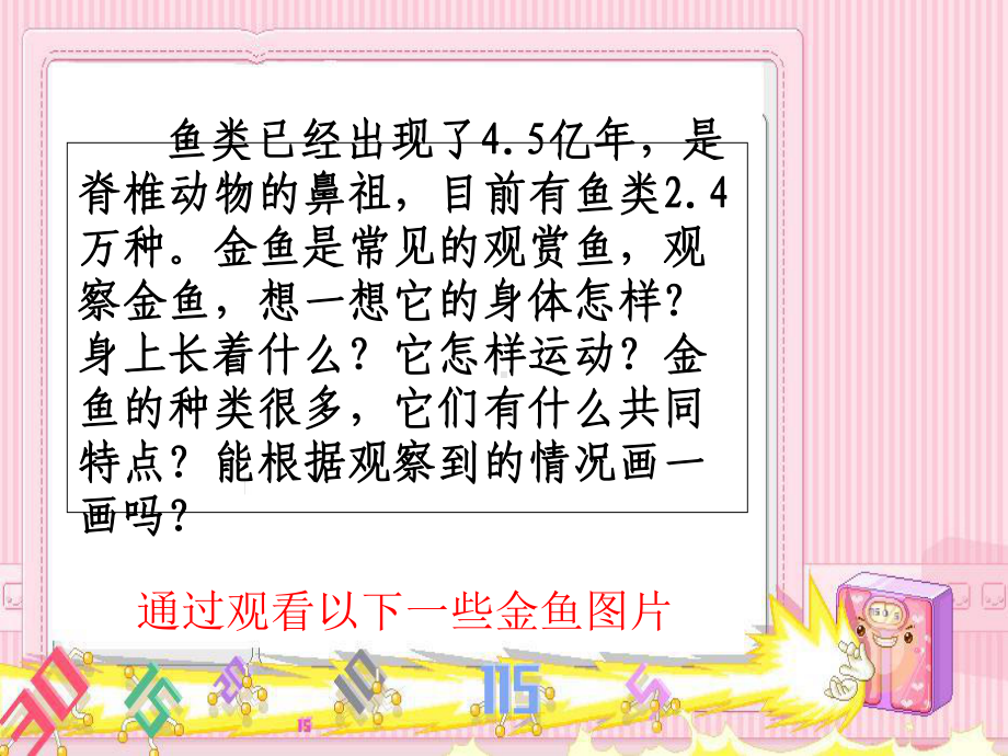 观察金鱼课件.ppt_第2页