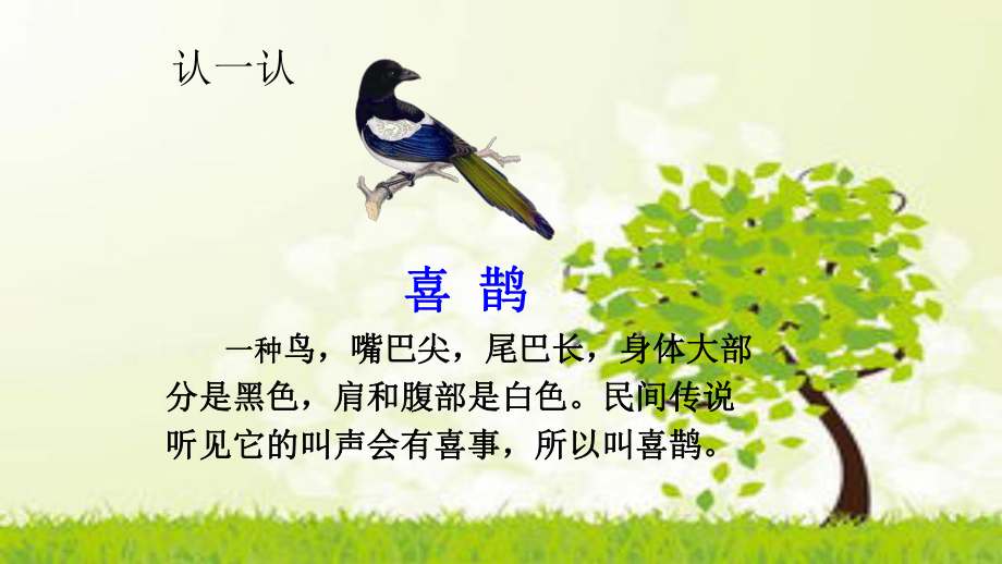 树和喜鹊公开课课件.ppt_第2页