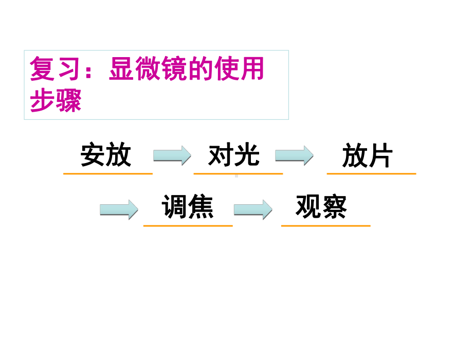 洋葱表皮细胞的制作和观察课件.ppt_第2页