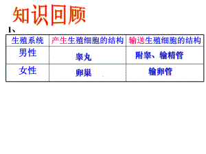 人教版七年级生物下册《“试管婴儿之父”荣获诺贝尔奖》公开课课件-6.ppt