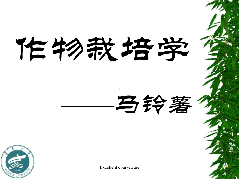 马铃薯栽培技术(精编课件).ppt_第1页