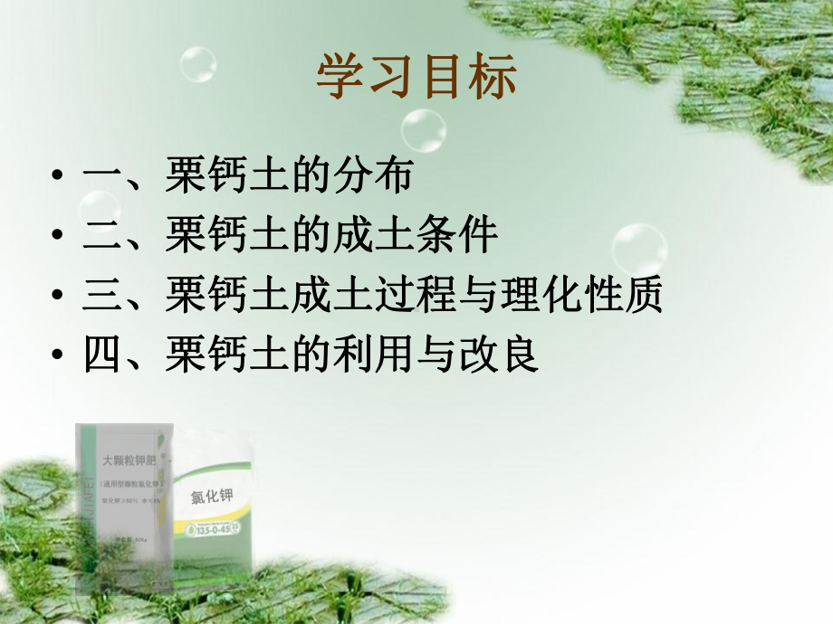 栗钙土的利用与改良课件.ppt_第2页