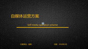 自媒体运营方案.ppt