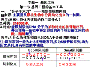 专题一《基因工程》复习课件.ppt