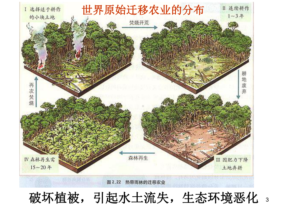 中图版高一地理必修二-世界主要农业地域类型课件.pptx_第3页