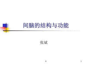 丘脑结构及功能18654课件.ppt