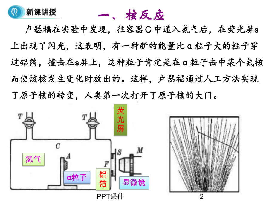 放射性的应用与防护课件.ppt_第2页