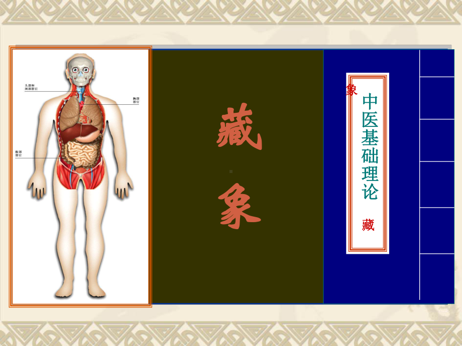 藏象学说-五脏肾课件.ppt_第1页