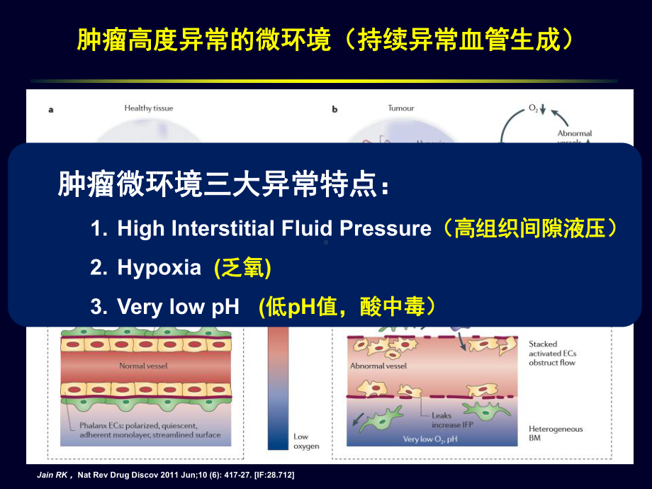 恩度联合放疗治疗肺癌的临床研究进展课件.ppt_第3页