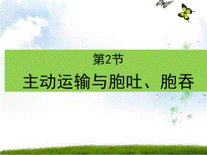 主动运输与胞吞、胞吐-（新教材）人教版高中生物课件.pptx