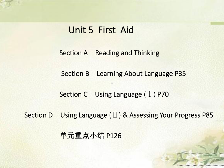 新教材-人教版高中英语选择性必修第二册-Unit-5-First-Aid-教学课件.pptx_第1页