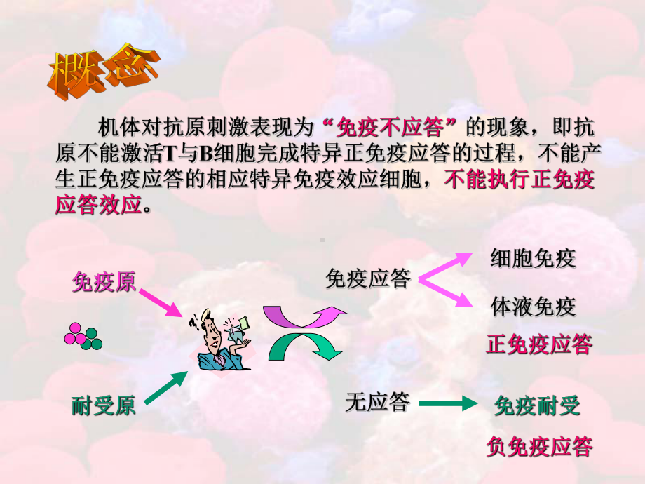 特异性无免疫应答免疫抑制-海南医学院课件.ppt_第2页