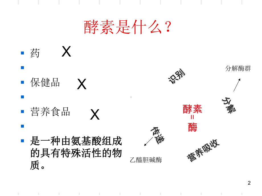 酵素演讲课件.ppt_第2页