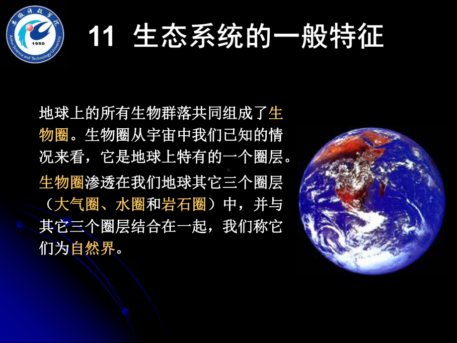 生态系统的一般特征课件.ppt_第1页