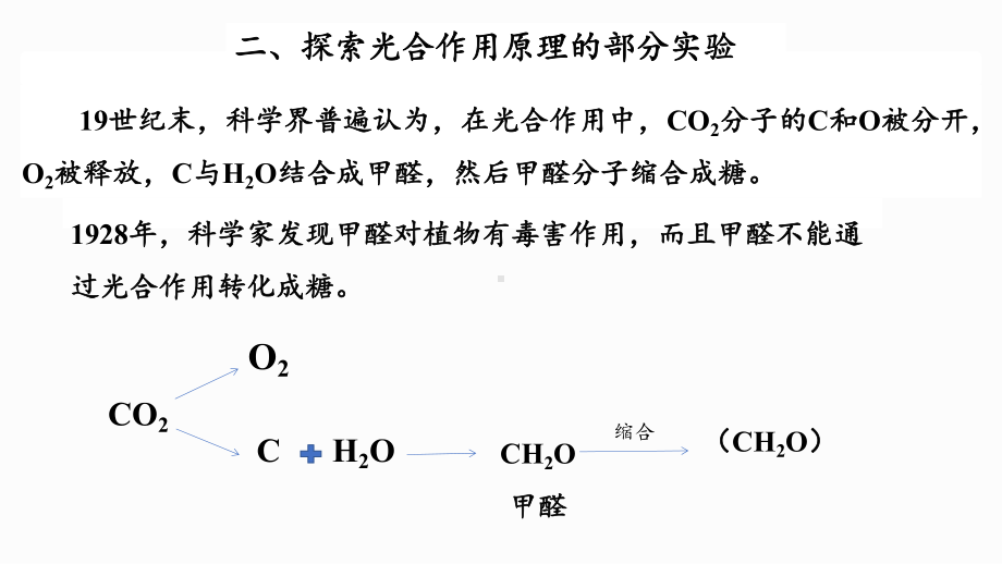 必修一542-光合作用与能量转换课件.pptx_第3页