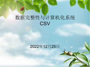 数据完整性与CSV验证课件.ppt