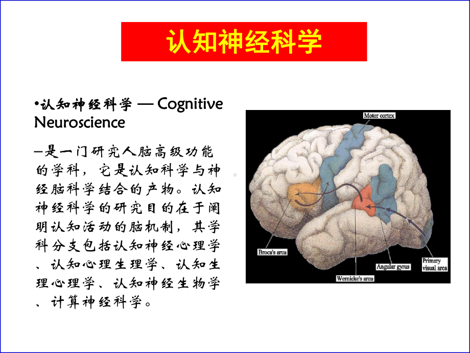 认知神经科学课件.ppt_第2页