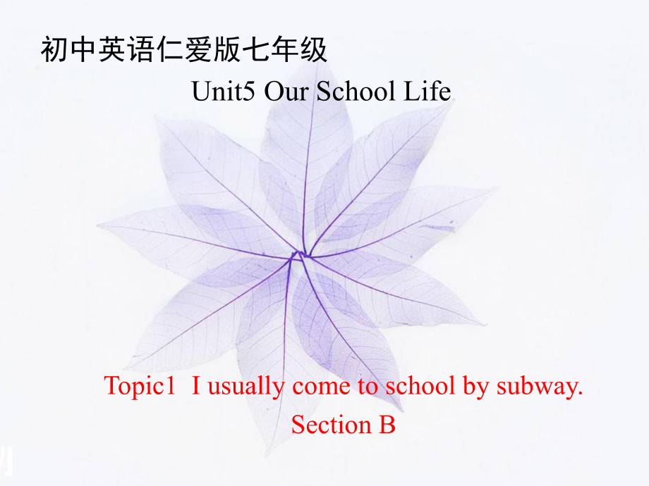 仁爱七下Unit-5-Our-School-Life-Topic-1-I-usually-come-to-school-by-subway-Section-B公开课课件.ppt（纯ppt,不包含音视频素材）_第1页