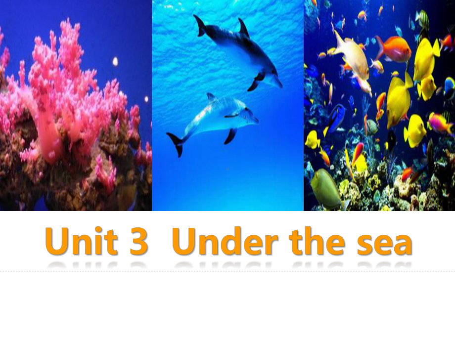 人教版英语选修七-M7-Unit3-Under-the-sea-warming-up-reading课件.ppt（纯ppt,不包含音视频素材）_第1页