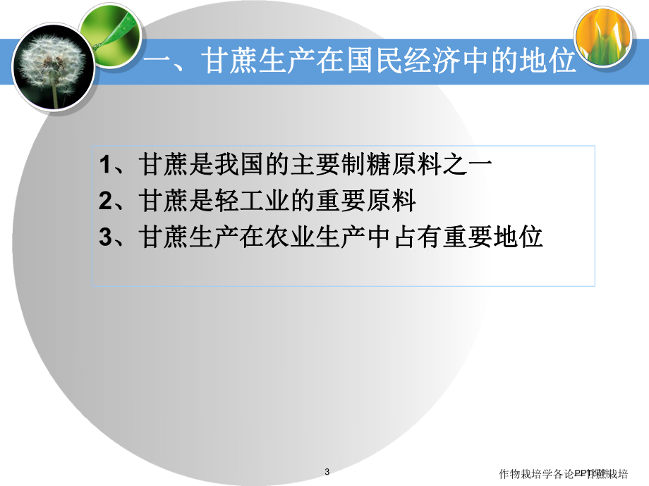 甘蔗种植技术课件.ppt_第3页