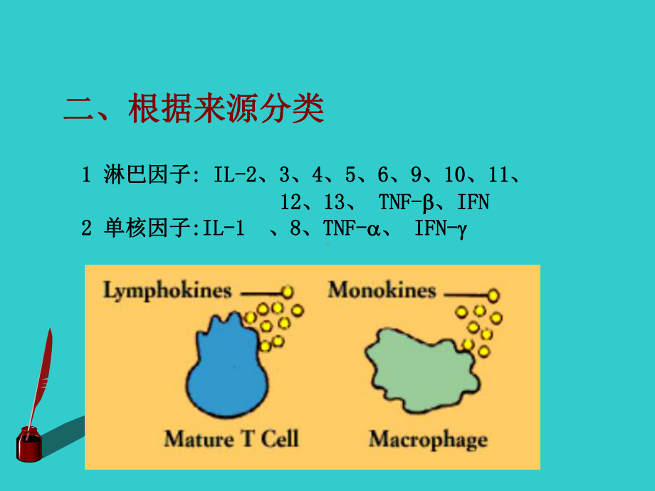 细胞因子与疾病课件.pptx_第3页