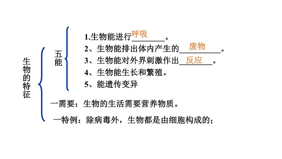 中考生物知识点归纳七年级上册人教版课件.pptx_第2页