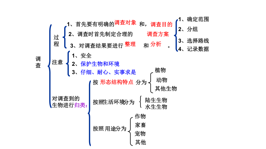 中考生物知识点归纳七年级上册人教版课件.pptx_第3页