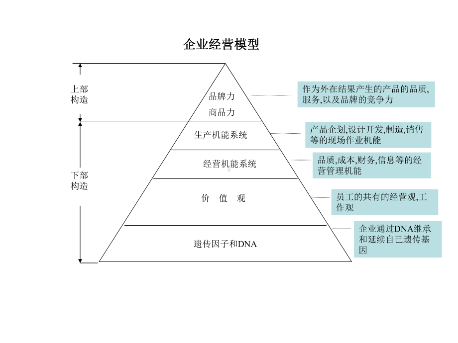 企业组织管理(-)-某公司组织管理新模式课件.ppt_第3页