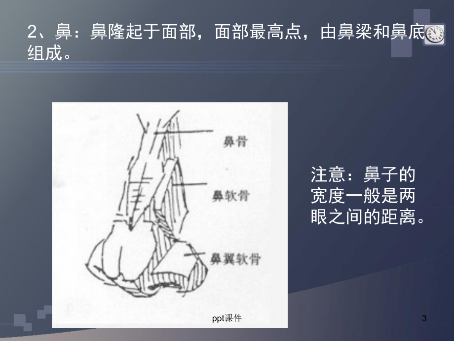 素描人头像课件.ppt_第3页