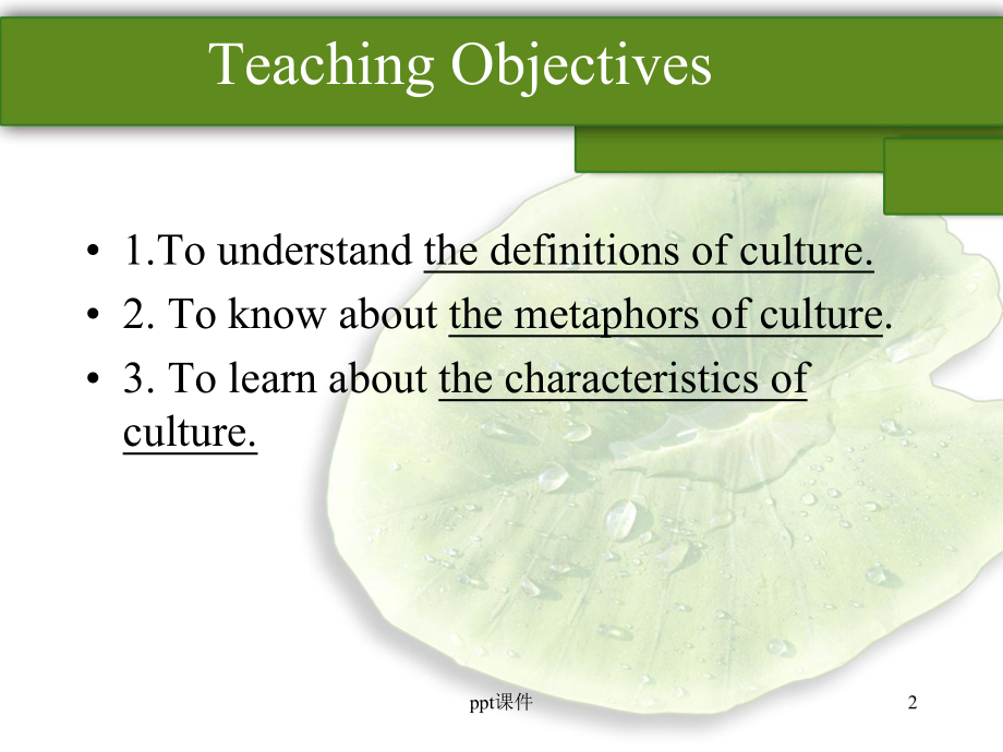 跨文化交际culture课件.ppt_第2页