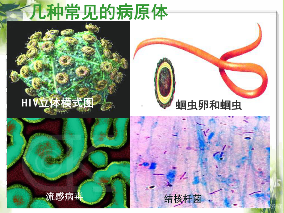 传染病的预防课件.ppt_第2页