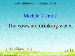 外研版六年级下册英语The-cows-are-drinking-water课件1.ppt（纯ppt,可能不含音视频素材文件）