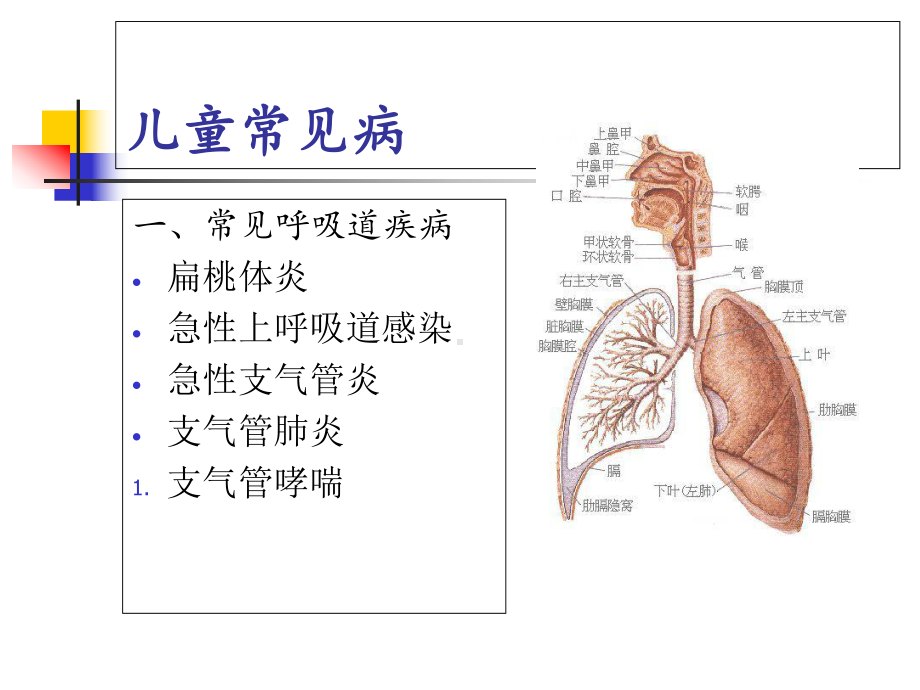 幼儿园健康教育传染病知识课件.ppt_第2页