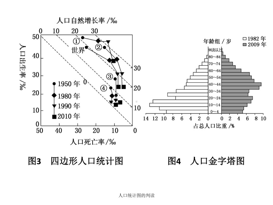 人口统计图的判读课件.ppt_第3页