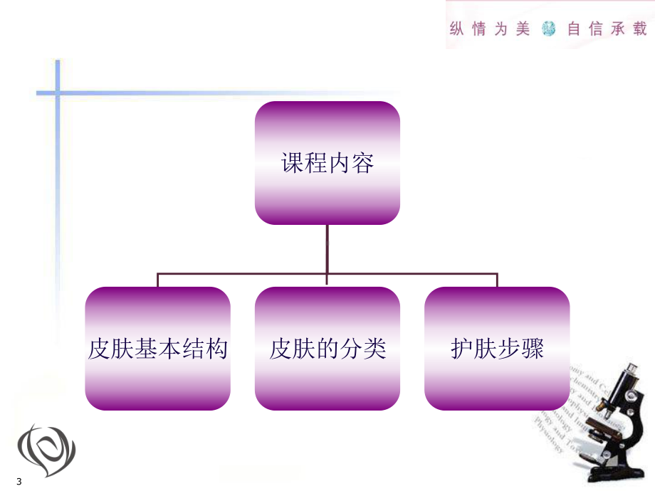 皮肤基础知识-2课件.ppt_第3页