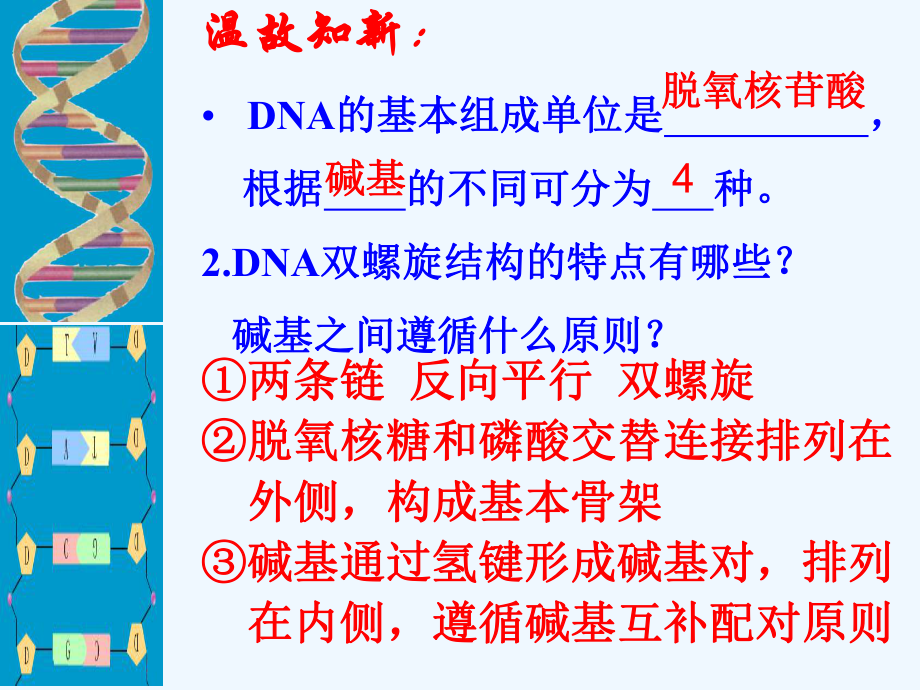 人教版高中生物必修二第三章第三节、第四节课件.ppt_第1页