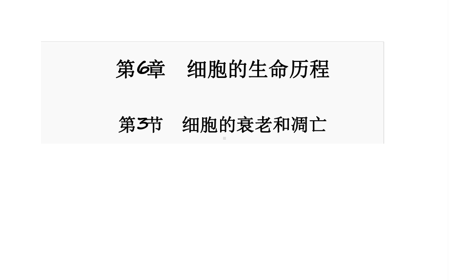 人教版高中生物必修1分子与细胞细胞的衰老和凋亡课件1.ppt_第1页