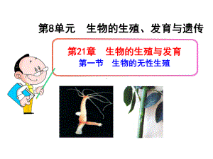 初中生物八年级下册《第一节生物的无性生殖》课件1.ppt