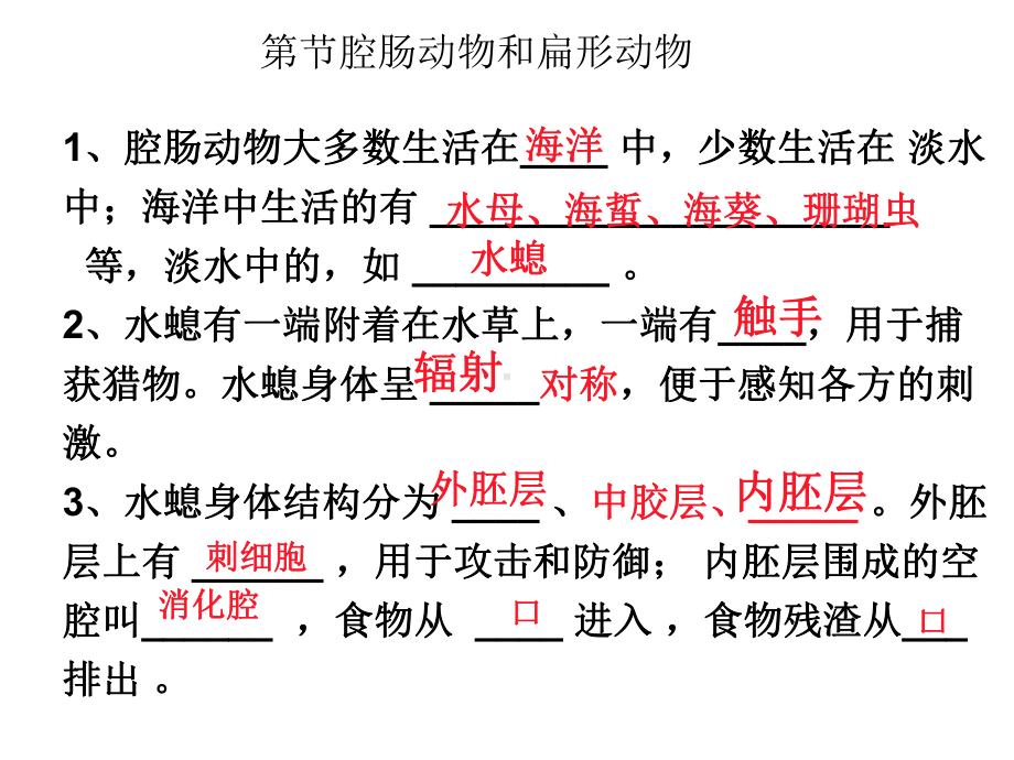 最新人教版八年级生物上册复习课件.ppt_第2页