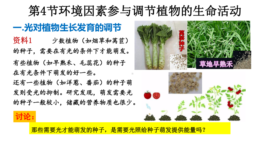 环境因素参与调节植物的生命活动课件（新教材）新人教版高中生物选择性必修一.pptx_第3页