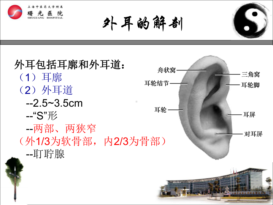 大学课件《中医耳鼻咽喉科学》精选复习(期末考).ppt_第3页