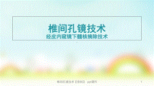 椎间孔镜技术骨科课件.ppt