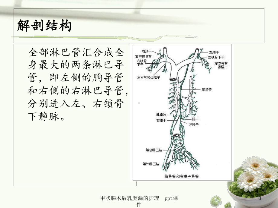 甲状腺术后乳糜漏的护理课件.ppt_第3页