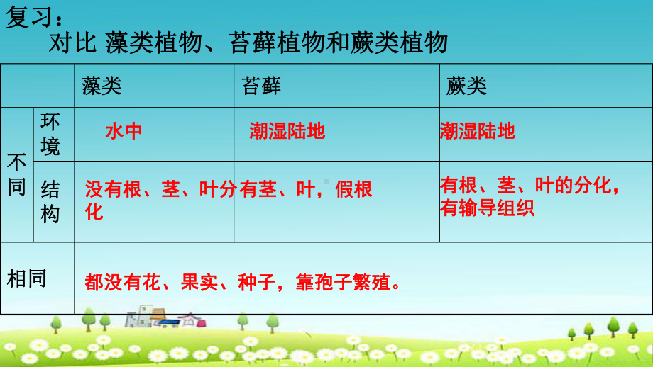 新人教版七年级生物上册312种子植物课件.ppt_第3页